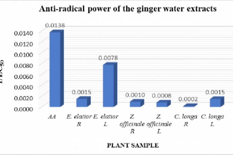 Anti-radical power (1/EC50) of the water extracts of the Zingiberaceae plants (R - Rhizomes; L - Leaves).