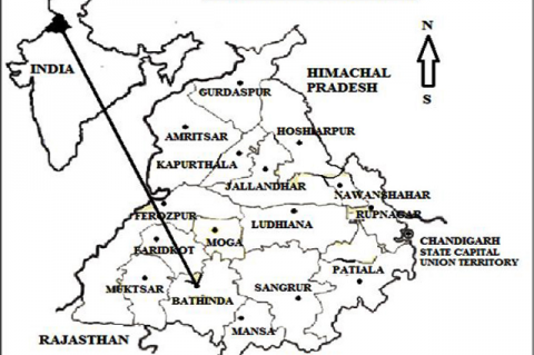 Map of study area (Natt, BurjSema, Chathewala, Kaureana, Mirjeana, Manuana, Gehlewala, Maur Chart, Burj, Shekhpura, Jogewala and Gatwali) Bathinda district, Punjab, India.