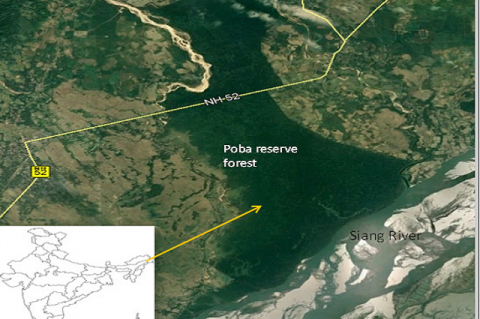 Figure 1: Map of study area (Poba reserve forest)