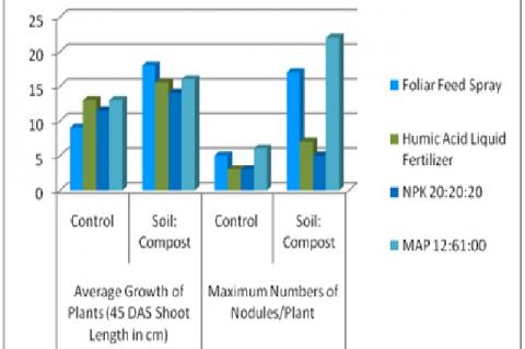 Shoot Length (45 DAS) and Maximum Number of Nodules/Plant