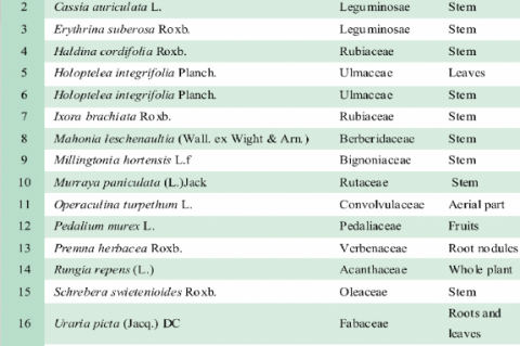 List of plants studied along with the family name and parts used