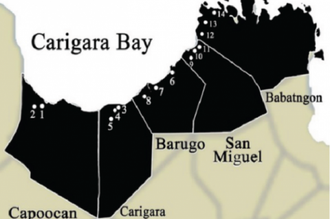 14 Sampling Stations at Carigara bay and its Freshwater Resources. Collection of Water Samples