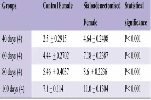 Effect of sialoadenectomy on Lactate dehydrogenase activity