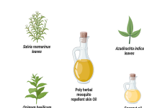 Ingredients of Poly Herbal Mosquito Repellent Skin Oil