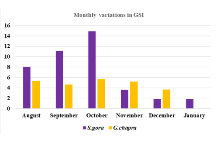 Monthly Variation in GSI of S. gora and G.chapra.