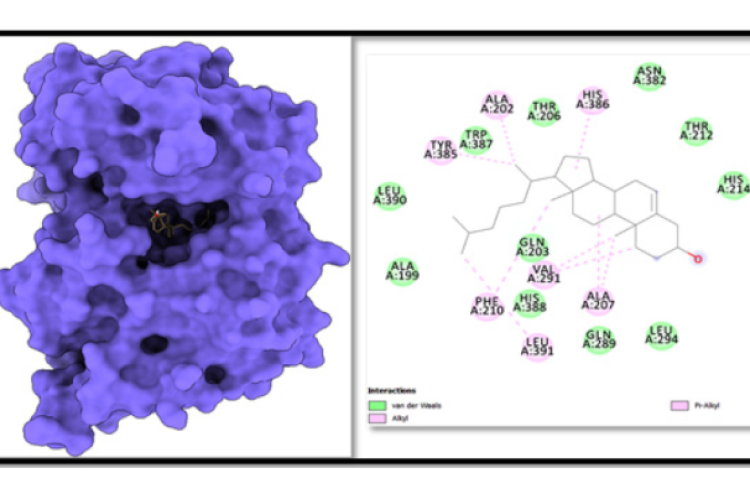 Surface view of the best pose of 1CVU with Cholesterin complex is displaying the surface view on the left panel and 2D interaction profile of the ligand with binding cavity residues