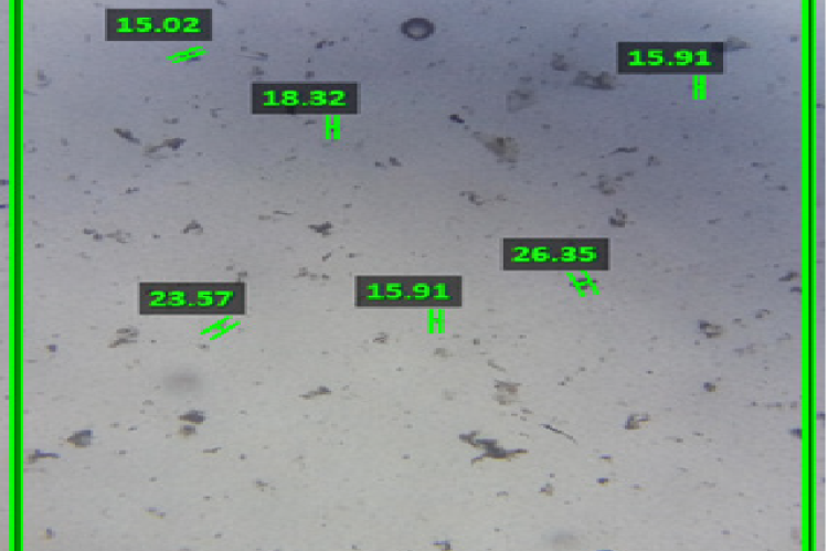 Microscopic Observation of Particle Size for the sample SNR.