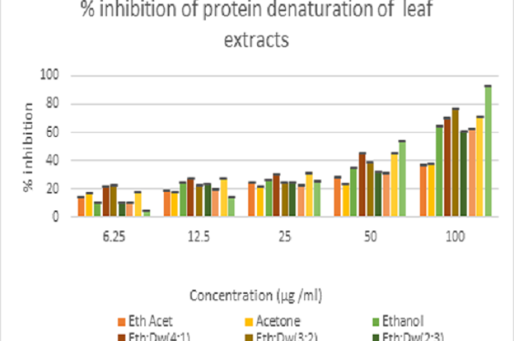 Graphical representation of % inhibition of protein denaturation in leaf extracts and diclofenac in different concentrations.
