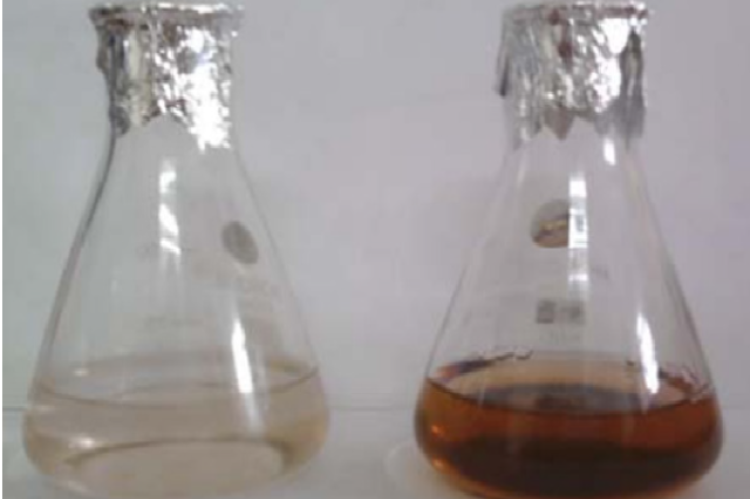 Synthesis of silver nanoparticles.Synthesis confirmed by colourless to yellowish brown colour solution