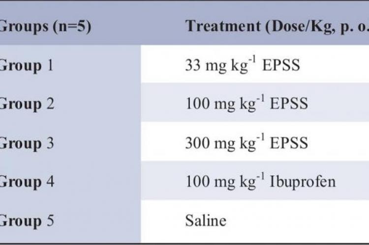 Experimental groups and treatment given 