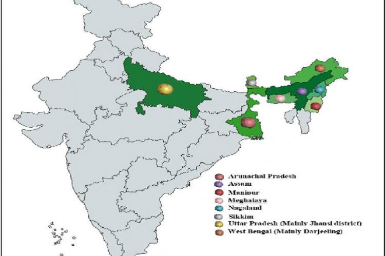 Geographical distribution within India where