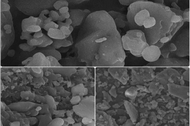 SEM analysis of Solid Lipid Microparticles.