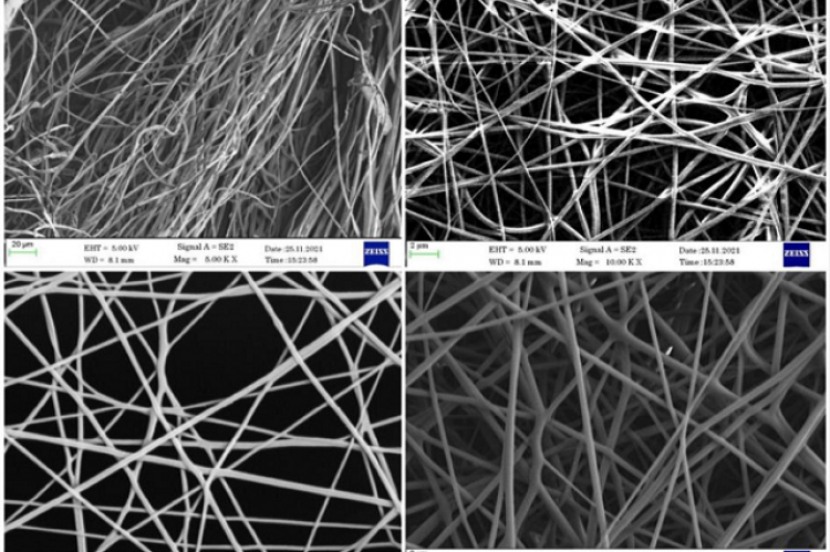 SEM images of nanofiber mat formulation.