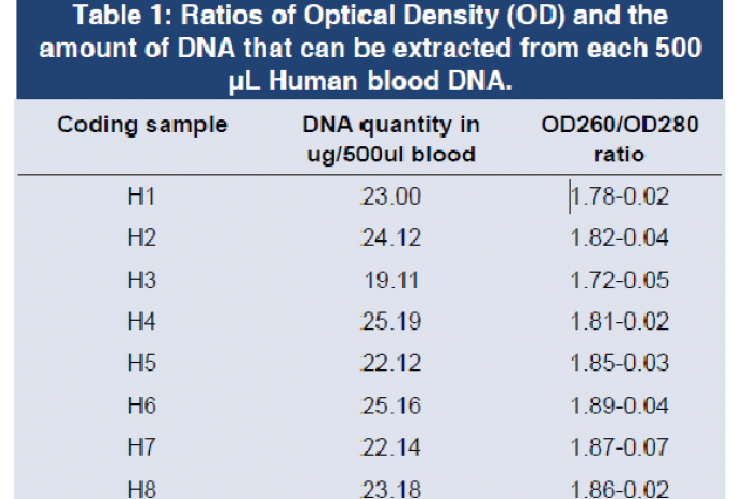 Ratios of Optical Density (OD) and the amount of DNA that can be extracted from each 500 μL Human blood DNA.