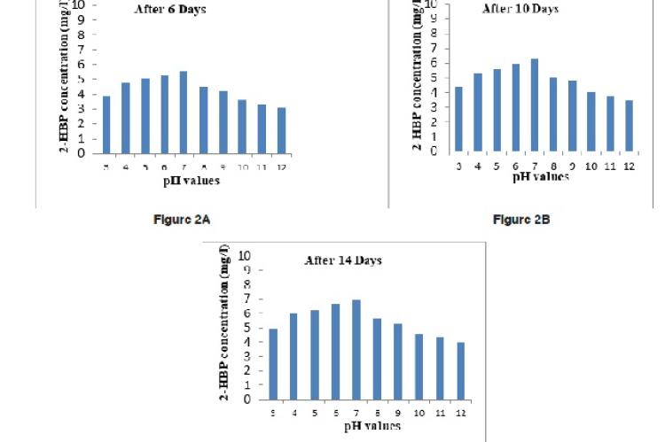 Effect of pH on 2-HBP production by Streptomyces sp. VUR PPR 102 after 6 days (B) 10 days and (C) 14 days.