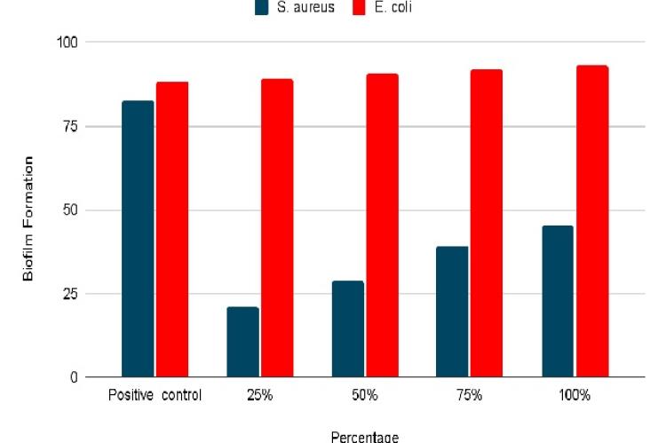 Comparison of Biofilm Percent Inhibition of Eleusine indica ethanolic crude extract against Escherichia coli and Staphylococcus aureus