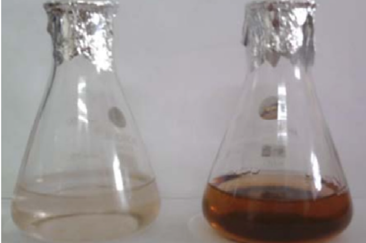 Synthesis of silver nanoparticles.Synthesis confirmed by colourless to yellowish brown colour solution