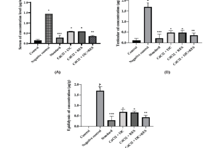 Rats’ serum, testis and epididymis Cd concentrations after 3 weeks of different treatments are shown in (A), (B) and (C), respectively. Values are mean±SEM, n = 6, ***p<0.001, **p<0.01, *p<0.05 vs negative control group *p<0.001.