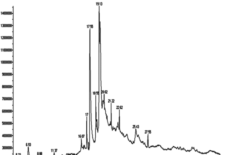 GCMS chromatogram of P. tectorius flower extract.