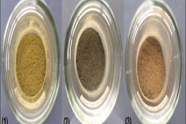 Mucilage powders from the leaves of (1) A. manihot, (2) A. spinosus and (3) T. triangulare