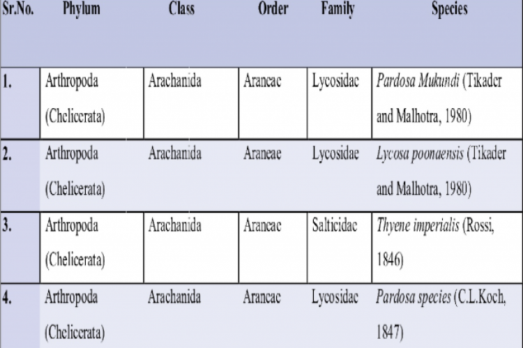 List of Spider species with taxonomical classification 