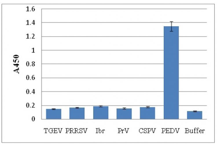 Discrimination of PEDV from other viruses in ELISA. The anti-PEDV-S1 antibody produced in this study was used as primary antibody in ELISA to detect a panel of viruses