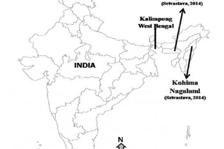Indian geographical distribution of Persicaria chinensis (Linnaeus) H. Gross var. hispida (Hooker f.) Kantachot