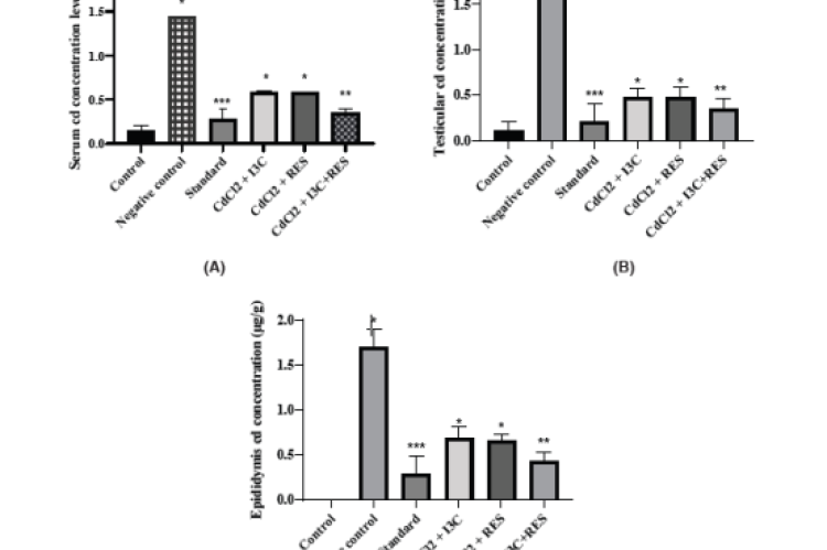 Rats’ serum, testis and epididymis Cd concentrations after 3 weeks of different treatments are shown in (A), (B) and (C), respectively. Values are mean±SEM, n = 6, ***p<0.001, **p<0.01, *p<0.05 vs negative control group *p<0.001.