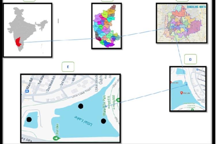 Maps indicating the location of Ullal Lake in Bangalore North and the sampling stations open surface water, deposit and inlet.