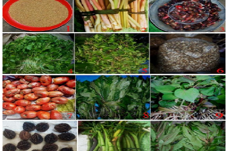Some of the common underutilized crops sold in local markets of Kohima district, Nagaland