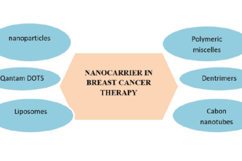 Exploring the potential of nanocarriers in breast cancer therapy