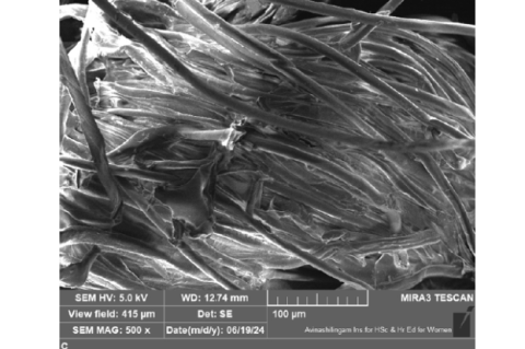 Morphological observation of chitosan-based coating by SEM 500X