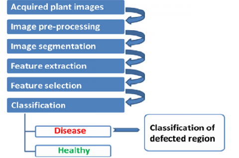 General structure of automated detection of plant diseases.