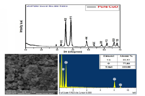 XRD, FESEM and EDAX analysis of chemically synthesised CuO NPs.