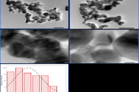 HR-TEM analysis of silver nanoparticles synthesized by bacterial isolate.