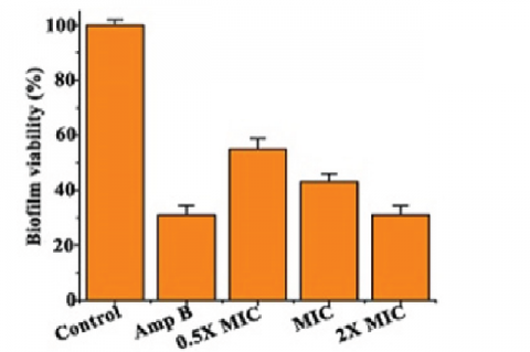 Biofilm viability after treatment with SPF at concentration ranging from 0.5 x to 2 x MIC concentration against C. albicans strain