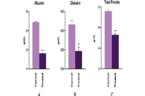 Blood serum protein estimation in liver of newborn chicks treated with Flubendiamide. (A) Albumin (B) Globulin