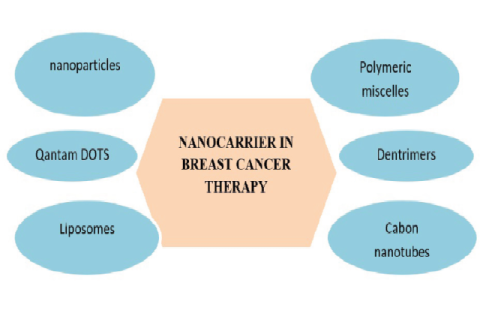 Exploring the potential of nanocarriers in breast cancer therapy.