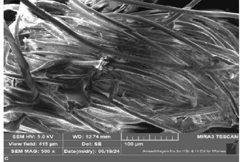 Morphological observation of chitosan-based coating by SEM 500X.