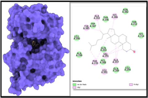 Surface view of the best pose of 1CVU with Cholesterin complex is displaying the surface view on the left panel and 2D interaction profile of the ligand with binding cavity residues