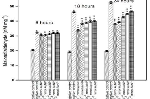 Effect of AuNPs on malondialdehyde in RBC depending on time and dose of exposure.