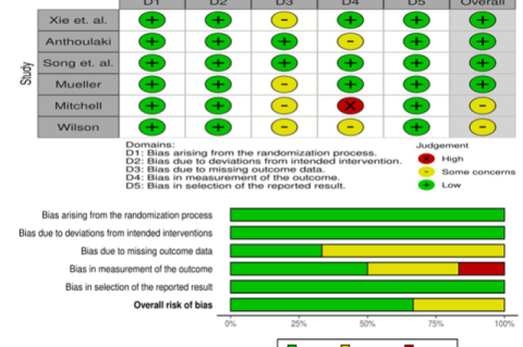 Risk-of-bias Visualization (Robvis).