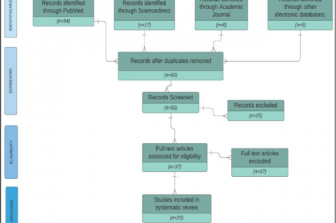 Flowchart for study selection