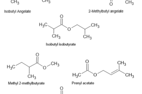 Molecular structure of Chemicals present in essential oil of C.nobile